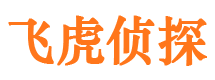 亭湖市侦探调查公司